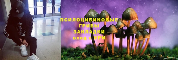 скорость Новодвинск