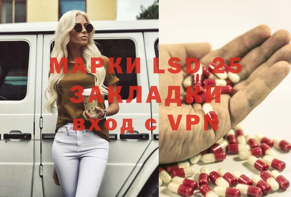 ГАЛЛЮЦИНОГЕННЫЕ ГРИБЫ Алексеевка